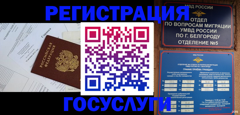 временная прописка в Павловске